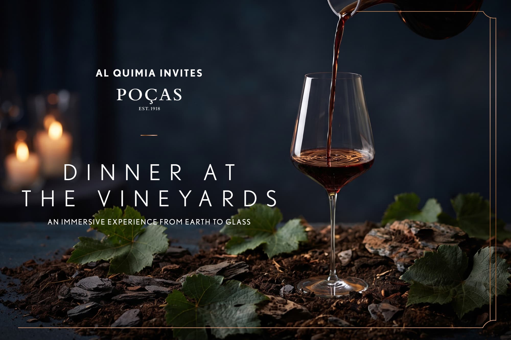 Dinner at the vineyards